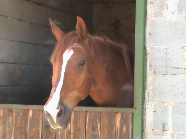DSC00037.JPG