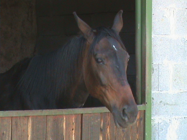 DSC00038.JPG