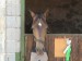 DSC00036.JPG