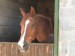 DSC00037.JPG