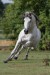 P_R_E_ Iondo 47_001.JPG