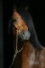g_10168.jpg